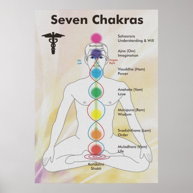 Seven Chakras Diagramm Poster (Vorne)