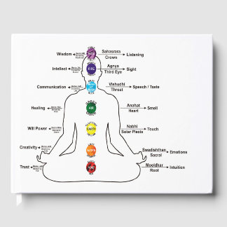 Seven Chakras Gästebuch