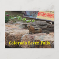 Seven Falls Colorado G Squirrel schließt Postkarte