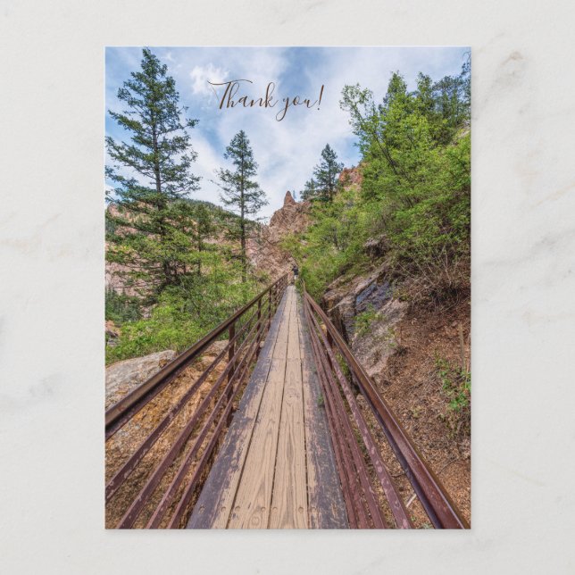 Seven Falls Walkway Bridge Danke Postcard Postkarte (Vorderseite)