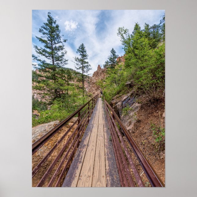 Seven Falls Walkway Bridge Poster (Vorne)