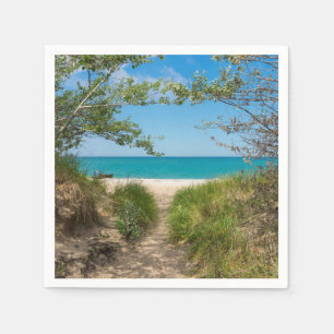 Seven Michigan Serviette