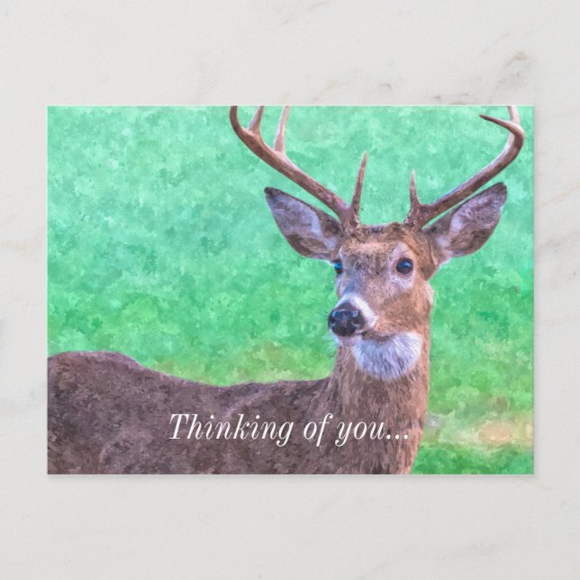 Seven Point Buck Painterly Denken Sie Postkarte (Vorderseite)