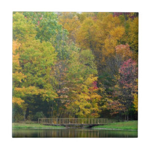 Seven Springs Fall Bridge II Herbstlandschaft Fliese