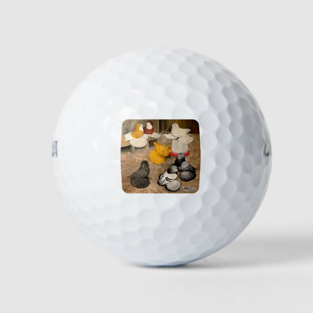 Seven Trumpeter Tauben Golfball (Vorderseite)