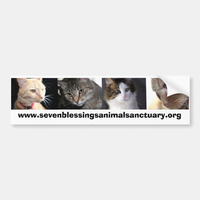sevenblessingsanimalsanctuary.org autoaufkleber (Vorne)