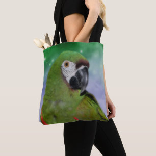Severe Macaw Parrot Bird