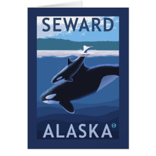 Seward, AlaskaOrca und Calf Szene