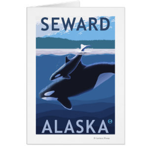 Seward, AlaskaOrca und Calf Szene