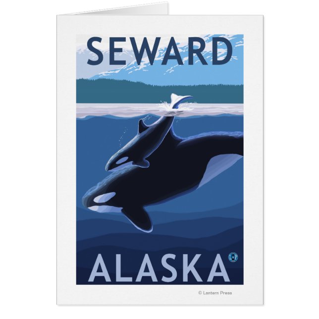 Seward, AlaskaOrca und Calf Szene (Vorne)