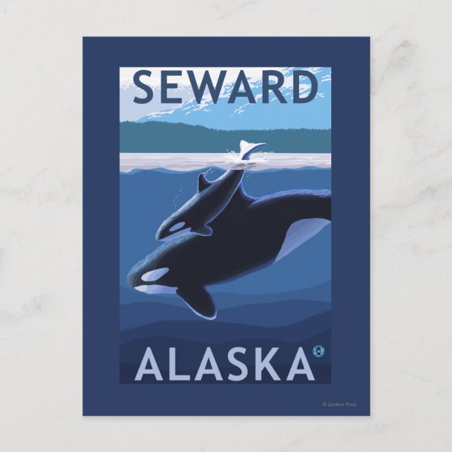 Seward, AlaskaOrca und Calf Szene Postkarte (Vorderseite)