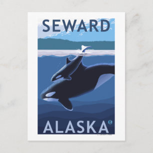 Seward, AlaskaOrca und Calf Szene Postkarte