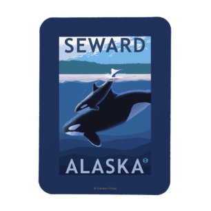 Seward, AlaskaOrca und Kalb-Szene Magnet