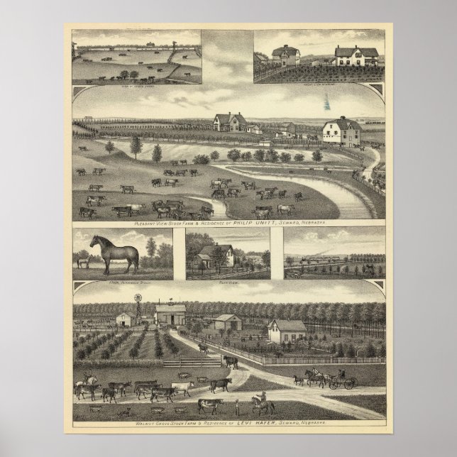 Seward Farms, Nebraska Poster (Vorne)