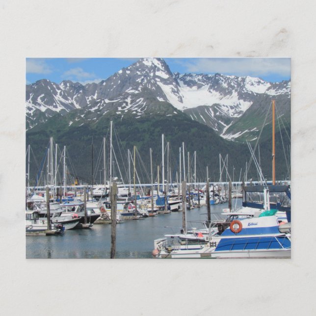Seward Harbour, Alaska Postkarte (Vorderseite)