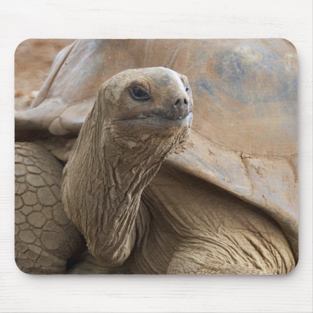 Seychelle Aldabran Landschildkröte Mousepad (Vorne)