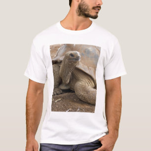 Seychelle Aldabran Landschildkröte T-Shirt