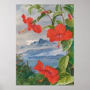 Seychellen by Marianne North - Exotische Landschaf Poster