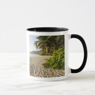 Seychellen, Mahe-Insel, Anse Marie-Louise Tasse