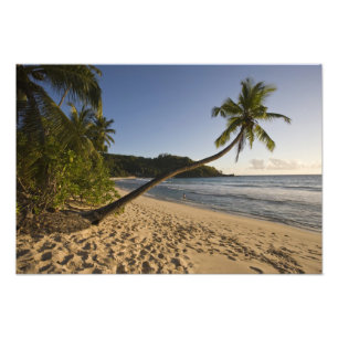 Seychellen, Mahe-Insel, Anse Takamaka Strand, Fotodruck