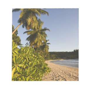 Seychellen, Mahe-Insel, Anse Takamaka-Strand, Notizblock