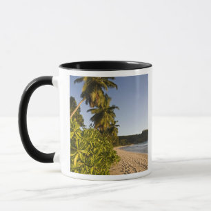 Seychellen, Mahe-Insel, Anse Takamaka-Strand, Tasse