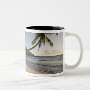 Seychellen, Mahe-Insel, Anse Takamaka Strand, Zweifarbige Tasse
