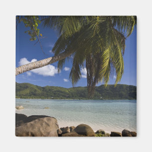 Seychellen, Mahe Island, Anse a la Mouche Magnet