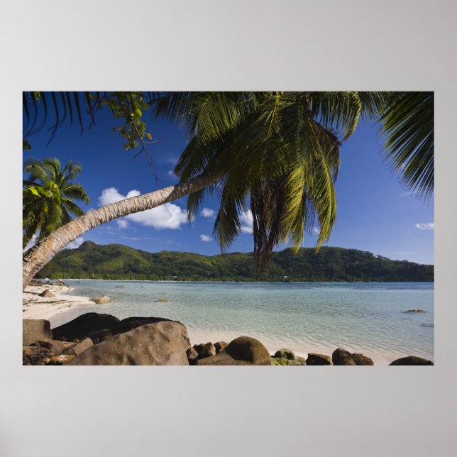 Seychellen, Mahe Island, Anse a la Mouche Poster (Vorne)