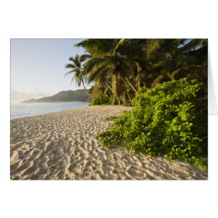 Seychellen, Mahe Island, Anse Marie-Louise