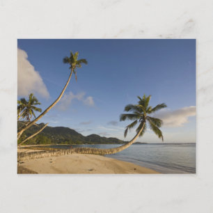 Seychellen, Mahe Island, horizontale Palme, Postkarte