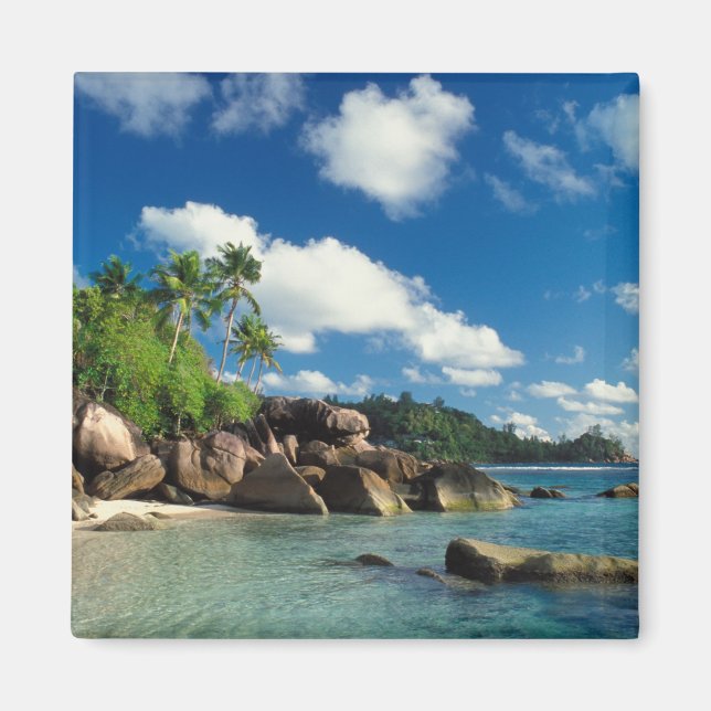 Seychellen, Mahe Island, Lazare Bay Magnet (Vorne)