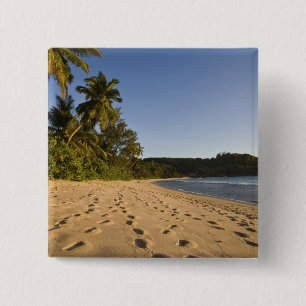 Seychellen, Mahe Island, Strand Anse Takamaka, 2 Button