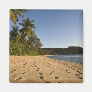 Seychellen, Mahe Island, Strand Anse Takamaka, 2 Magnet