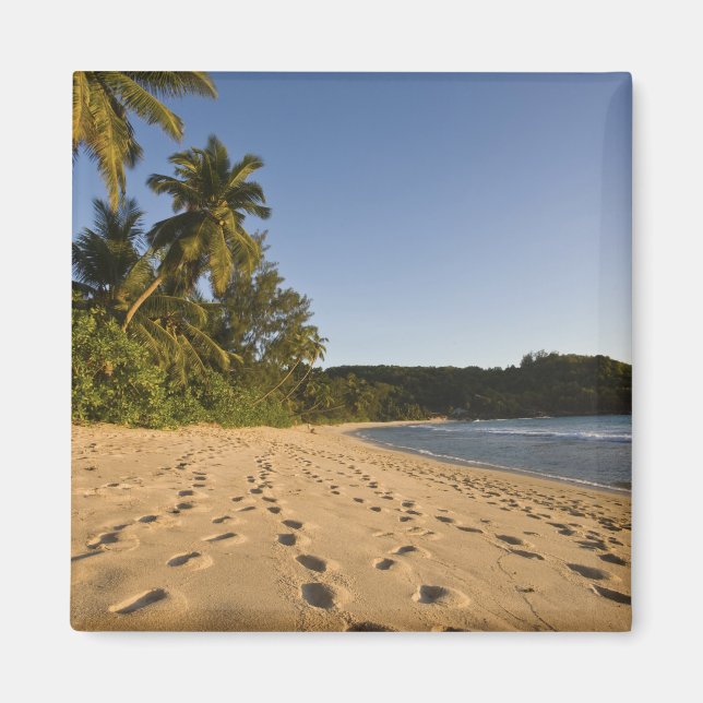 Seychellen, Mahe Island, Strand Anse Takamaka, 2 Magnet (Vorne)