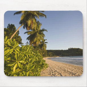 Seychellen, Mahe Island, Strand Anse Takamaka, Mousepad