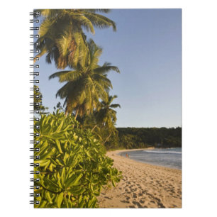 Seychellen, Mahe Island, Strand Anse Takamaka, Notizblock