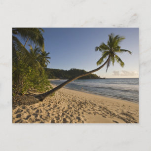 Seychellen, Mahe Island, Strand Anse Takamaka, Postkarte