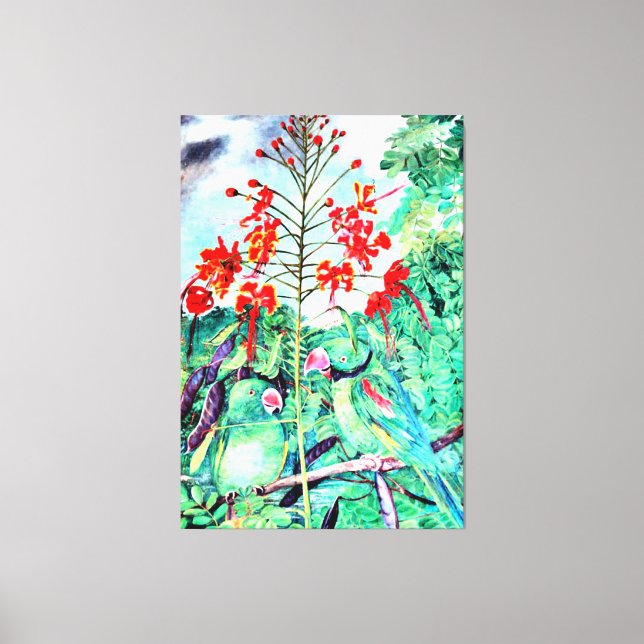 Seychellen Parakeet, Psittacula wardi Leinwanddruck (Vorderseite)