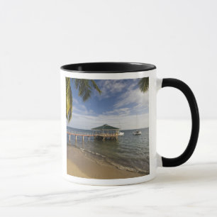 Seychellen, Praslin-Insel, Anse Bois de Rose, Tasse