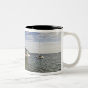 Seychellen, Praslin-Insel, Anse Bois de Rose, Zweifarbige Tasse