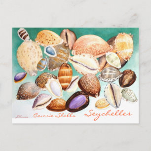 Seychelles Cowrie Muscheln Postkarte