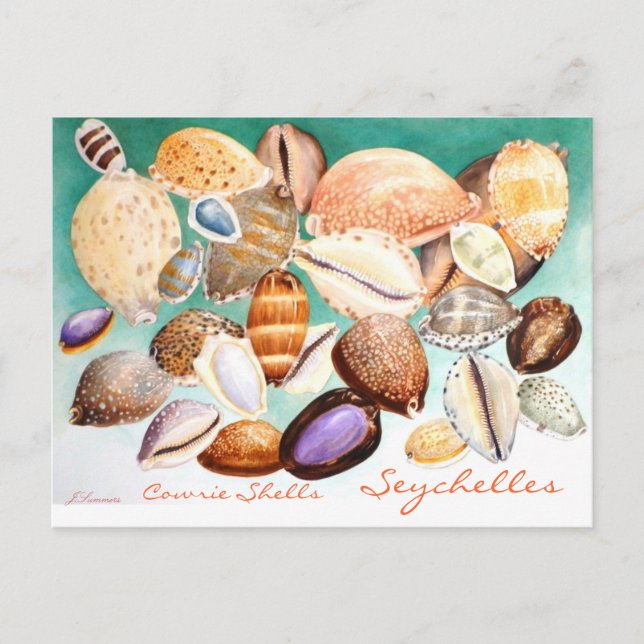 Seychelles Cowrie-Muscheln Postkarte (Vorderseite)
