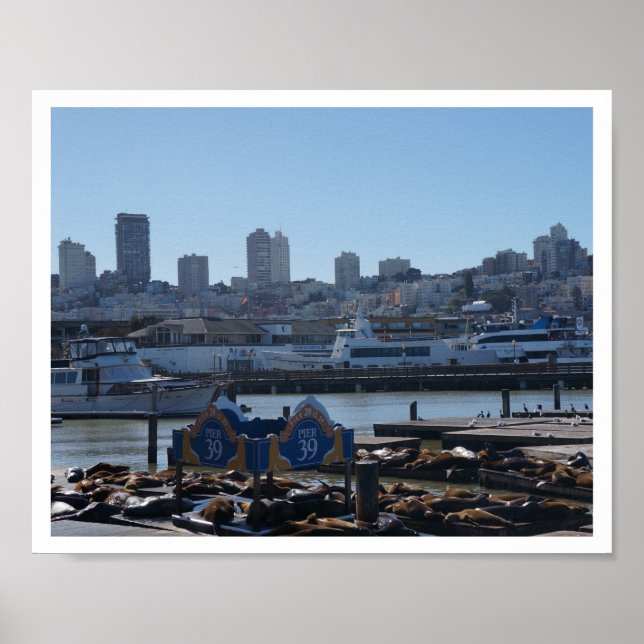 SF City Skyline & Pier 39 Sea Lions #1-2 Poster (Vorne)