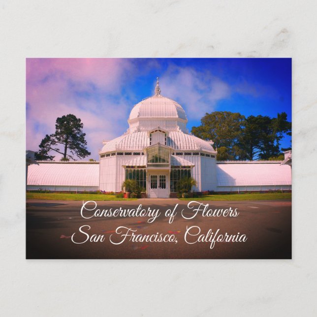 SF Conservatory of Blume #7-1 Postcard Postkarte (Vorderseite)
