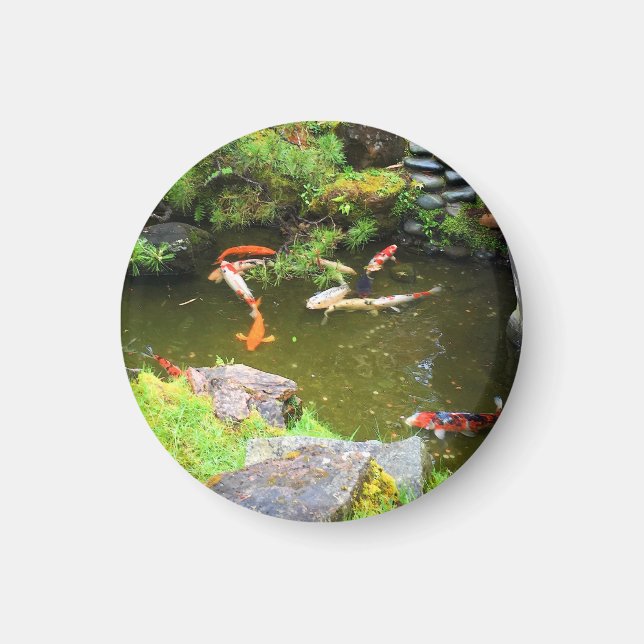 SF Japanischer Teegarten Koi Teich #1 Magnet (Vorne)