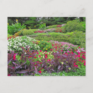 SG Landscape Postcard #40N 040 Postkarte