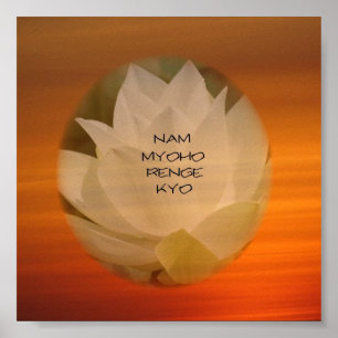 SGI Buddhistisches Poster - Lotus "Nam Myoho Renge