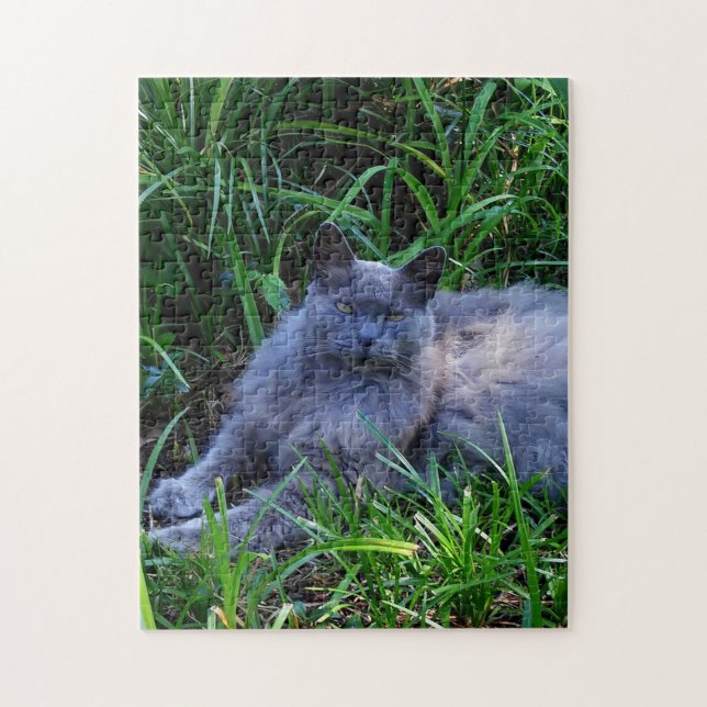 Sgolis Gray Maine Coon Cat Challenging Foto Puzzle (Vertikal)