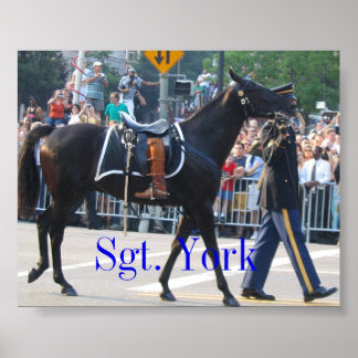 Sgt. York Das Riderless Pferd Poster